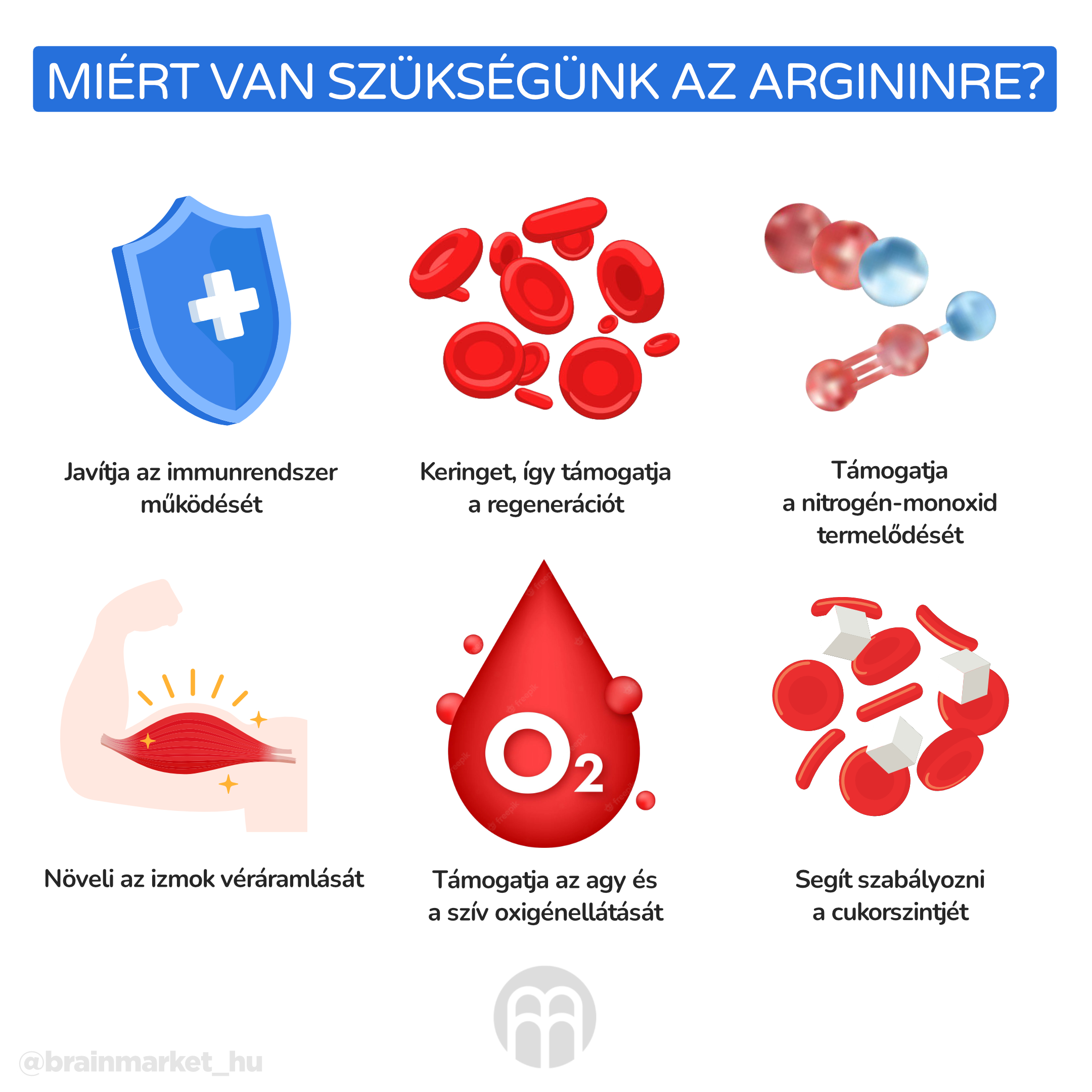 Proč potřebujeme arginin__infografika_hu